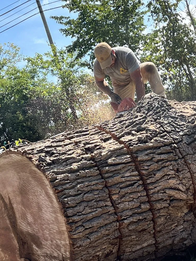 Affordable residential landscaping with custom design across Elizabethtown, KY - Hardin County Tree Service