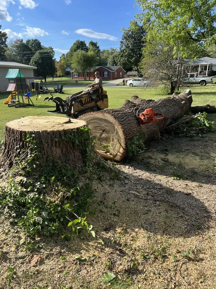 Expert residential landscaping experts serving Elizabethtown, KY - Hardin County Tree Service