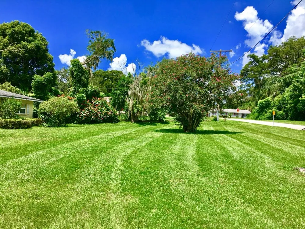Professional outdoor landscaping in Brandon, FL - Hardin Diamond Cut Lawn Care of Brandon FL