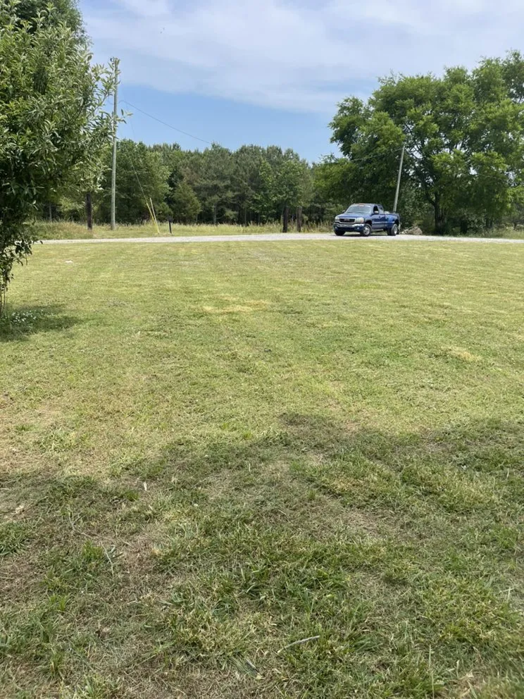 Top-rated yard cleanup service for beautiful yards across Albertville, AL - Hardin Lawn Care