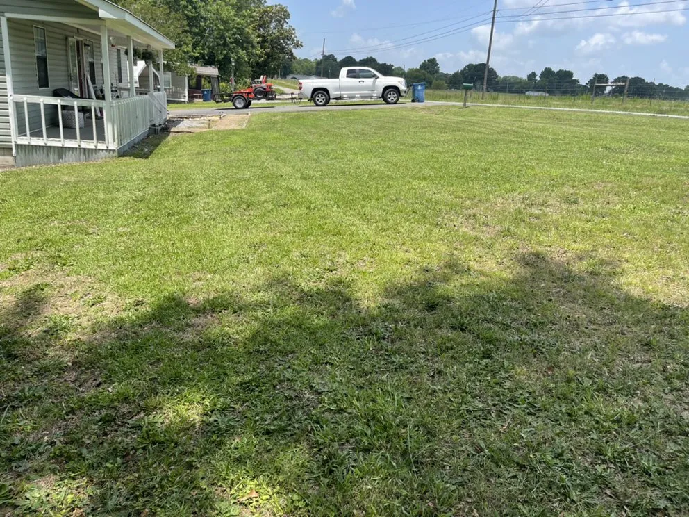 Local yard cleanup service in Albertville, AL - Hardin Lawn Care