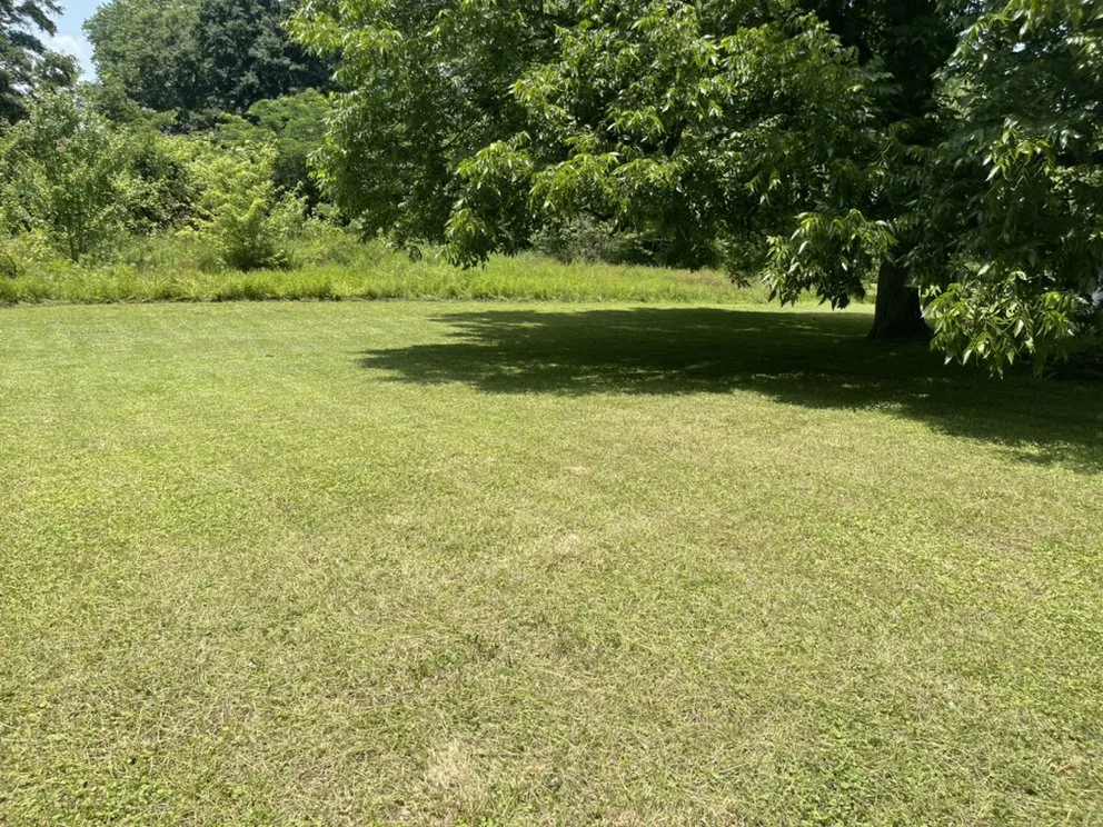 Local landscape installation in Albertville, AL by Hardin Lawn Care