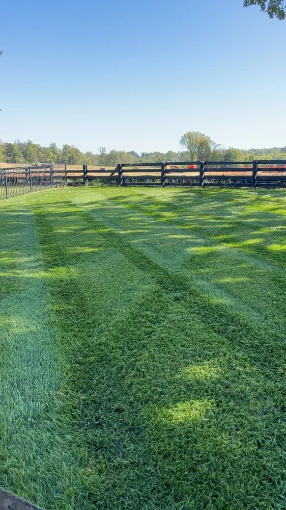 Reliable yard maintenance experts serving Taylorsville, KY - Hardin Lawn Care