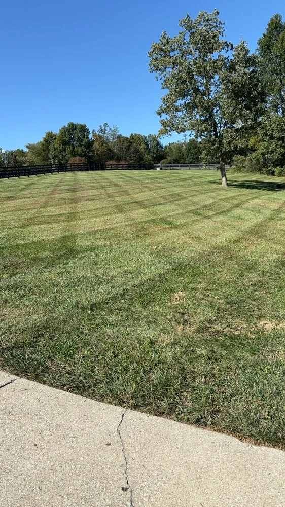 Top-rated yard cleanup service in Taylorsville, KY by Hardin Lawn Care