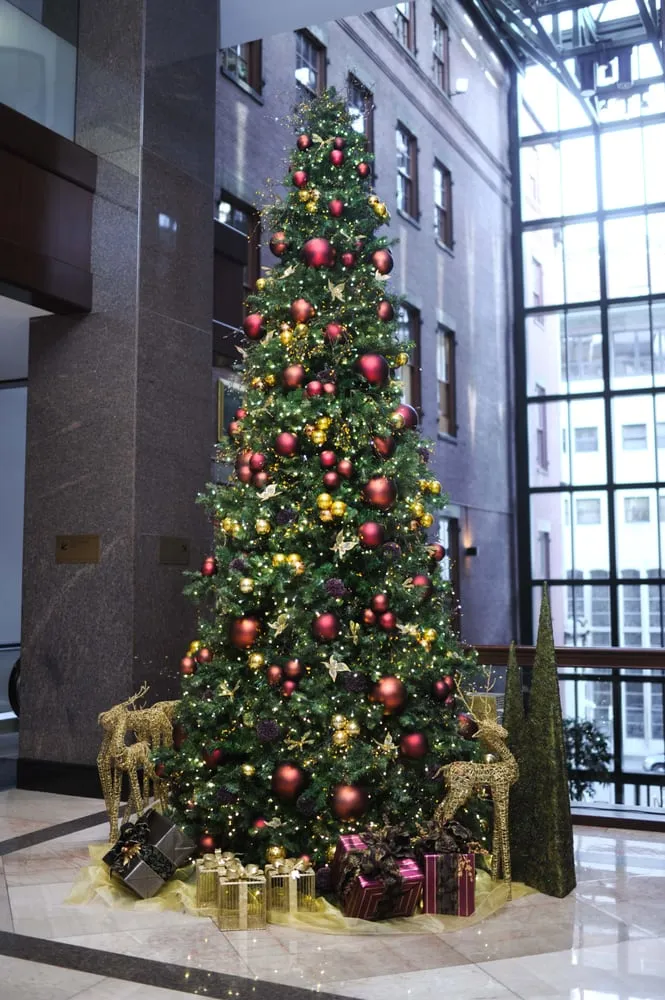 Trusted lawn care service in Southborough, MA - Harding Botanicals