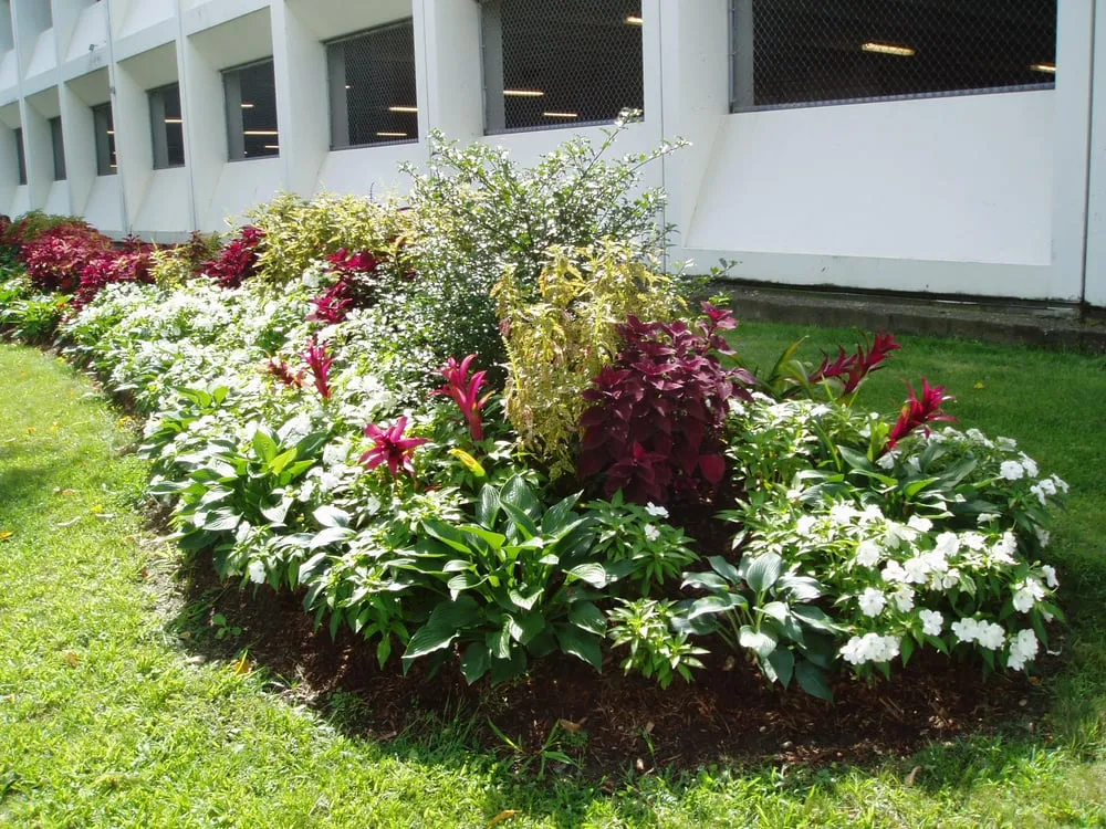 Reliable landscaping services for homes in Southborough, MA by Harding Botanicals