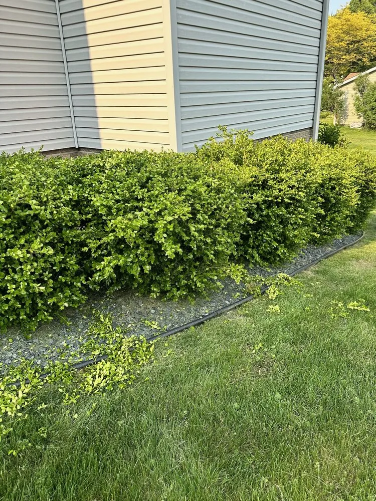 Custom yard cleanup service for homes across New Castle, PA - Harding Lawn & Landscape