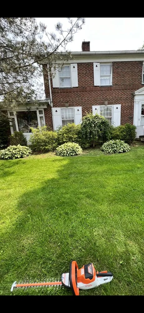 Top-rated yard cleanup service experts serving New Castle, PA - Harding Lawn & Landscape