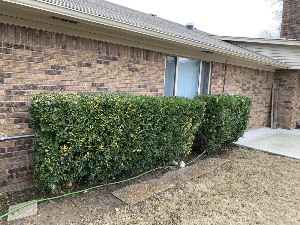 Top-rated yard maintenance for outdoor upgrades across Tulsa, OK - Harding lawn care