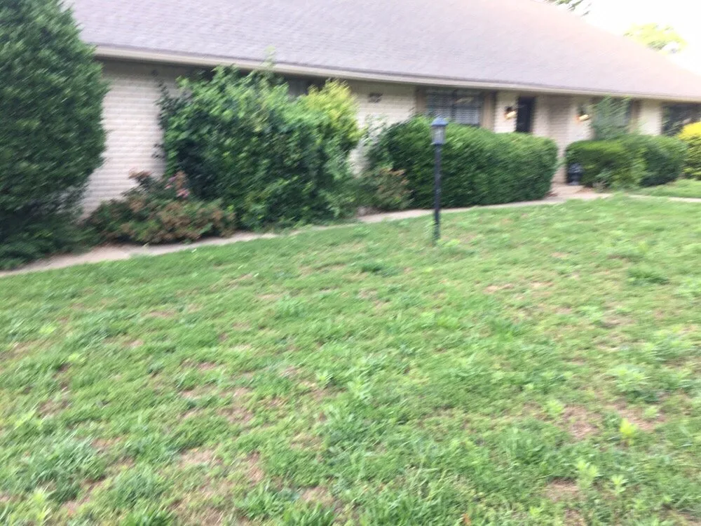 Reliable yard maintenance in Tulsa, OK - Harding lawn care