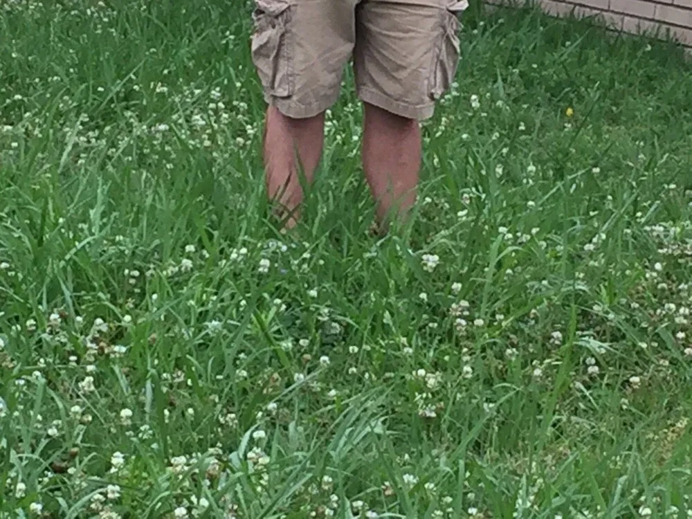 Local outdoor landscaping in Tulsa, OK by Harding lawn care