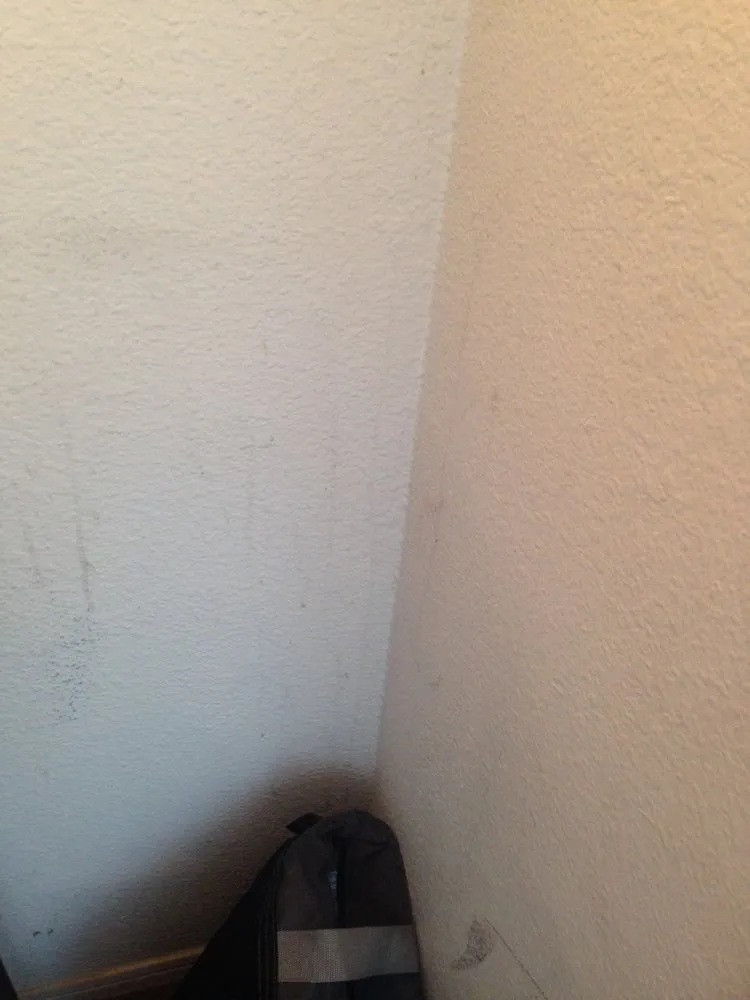 Reliable yard cleanup service in Clarksville, TN by Harding Property Preservation