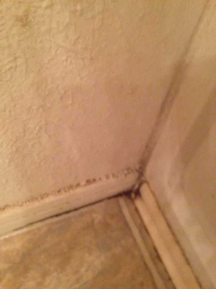 Reliable lawn mowing service near you across Clarksville, TN - Harding Property Preservation