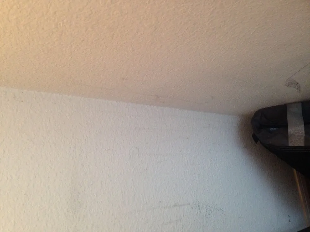 Local landscaping services experts serving Clarksville, TN - Harding Property Preservation