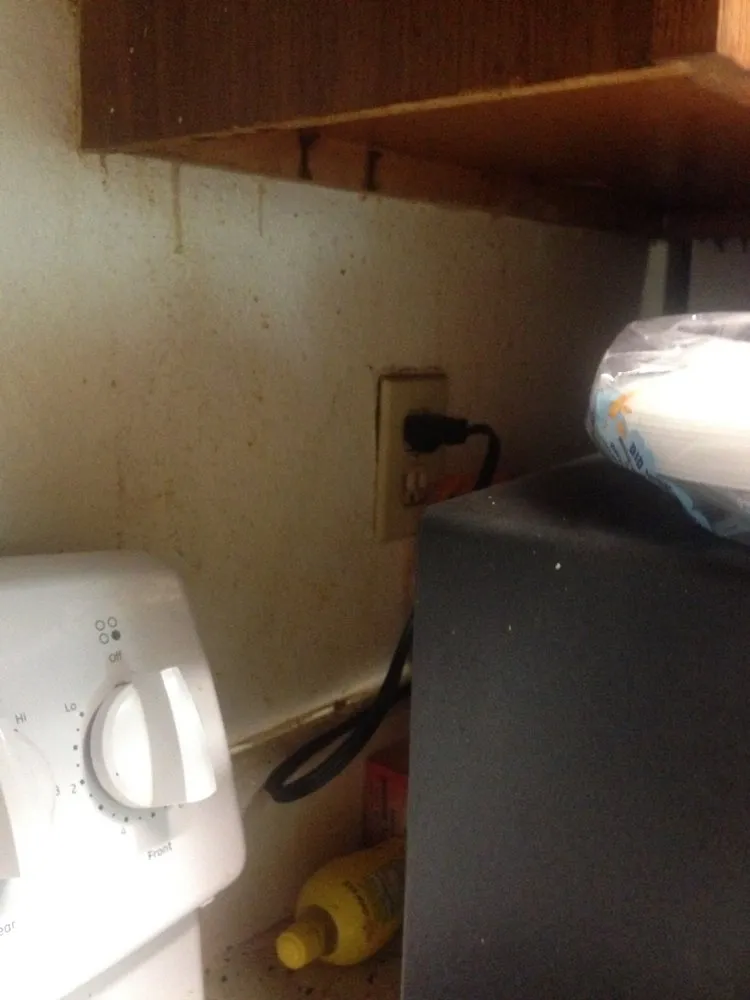 Local landscaping services experts serving Clarksville, TN - Harding Property Preservation