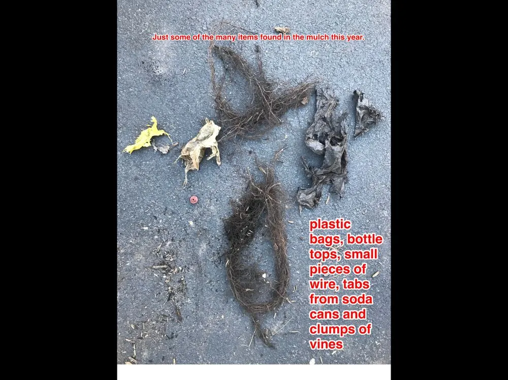 Professional outdoor landscaping for beautiful yards across Asbury, NJ - Harding's Land & Lawn