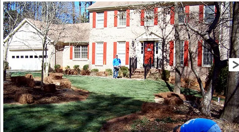 Professional landscape installation in Lilburn, GA by Hardin's Gardens