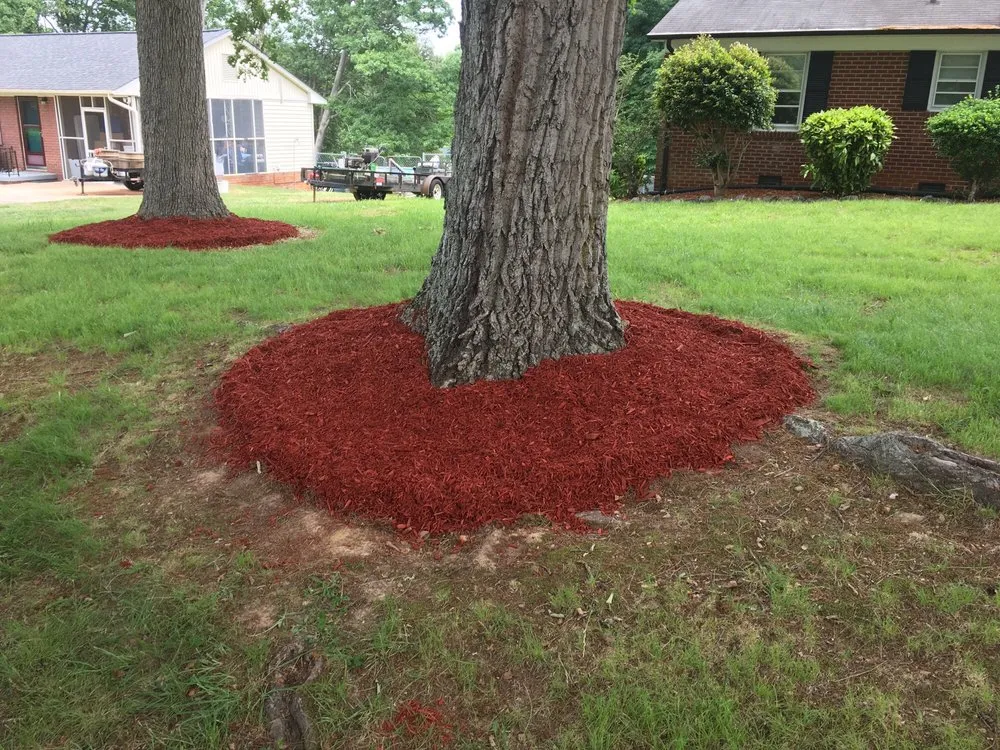 Top-rated residential landscaping in Gastonia, NC by Hardin's Lawn & Pressure Service