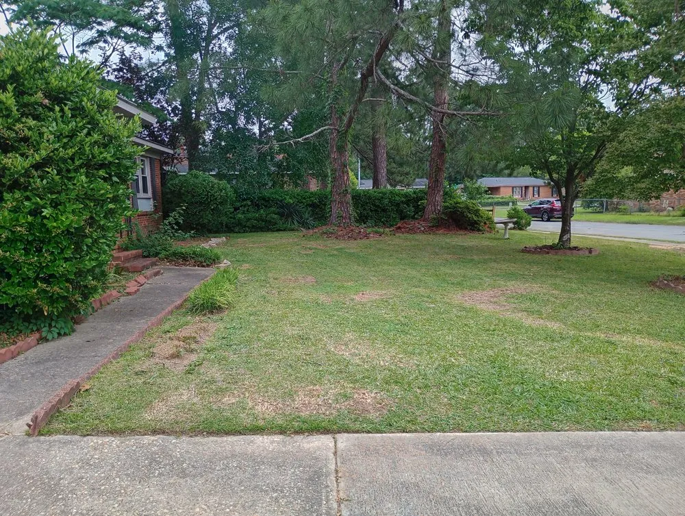 Custom lawn mowing service in Fayetteville, NC - Hardins Lawn Service