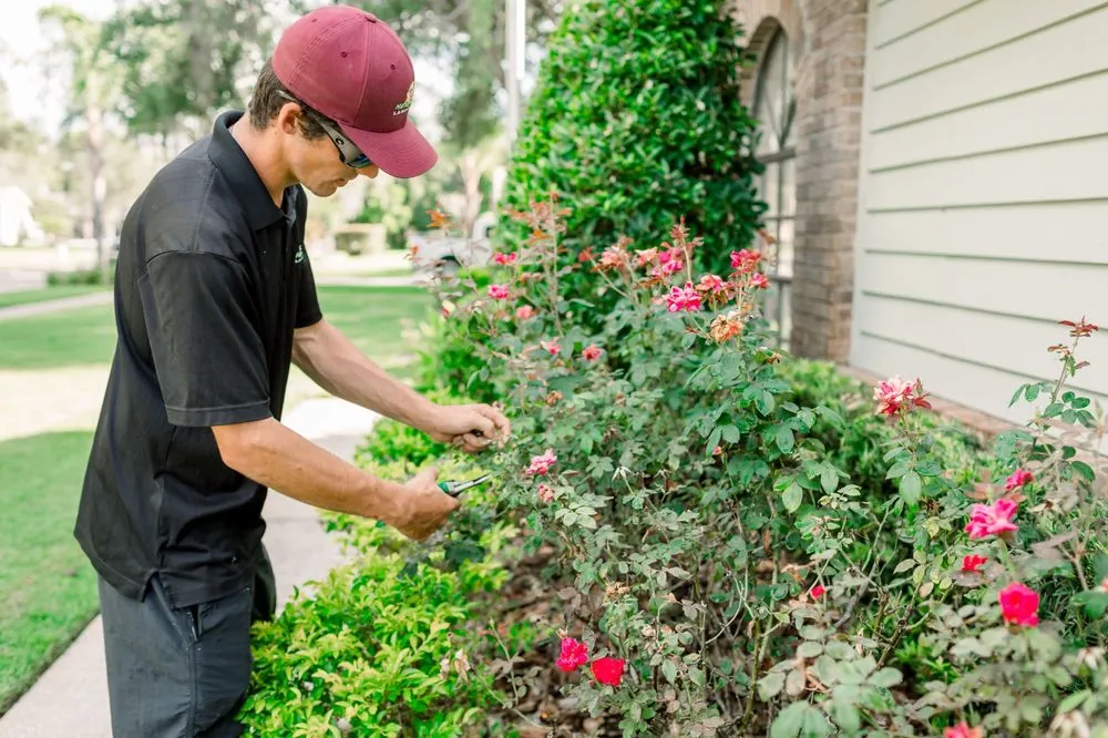Expert landscape design for residential properties in Lutz, FL by Hardrock Landscape Services