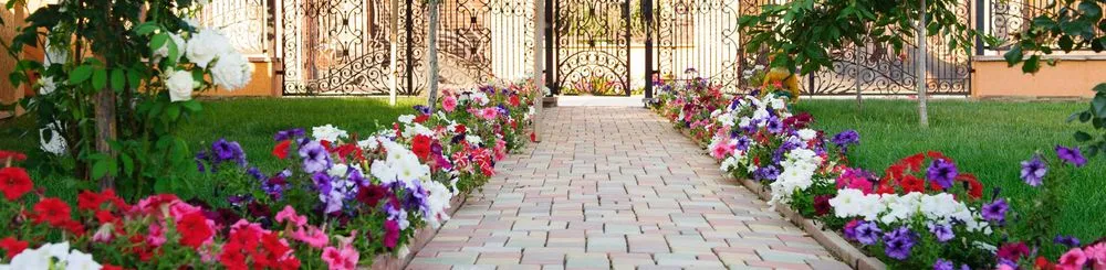 Reliable lawn care service experts serving Los Angeles, CA - Hardscape & Landscape Masters