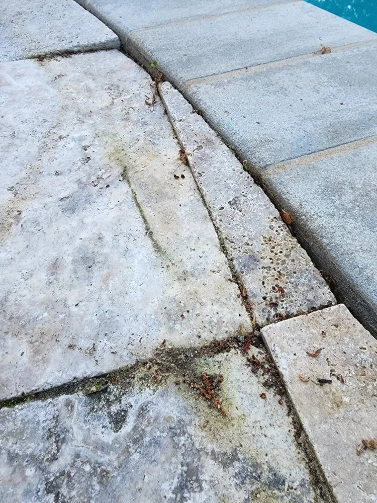 Professional yard cleanup service for outdoor upgrades across Lewes, DE - Hardscape & Landscaping Professionals