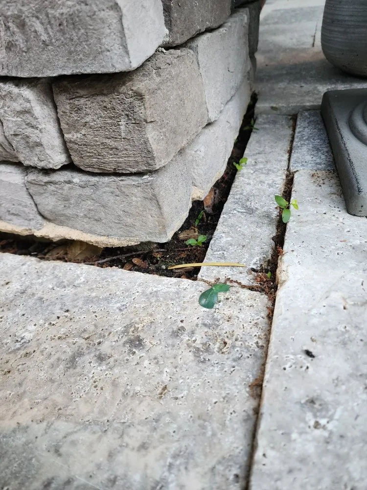 Reliable landscape design for year-round maintenance across Lewes, DE - Hardscape & Landscaping Professionals