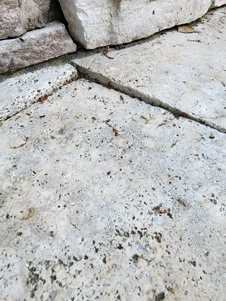 Professional yard maintenance in Lewes, DE by Hardscape & Landscaping Professionals