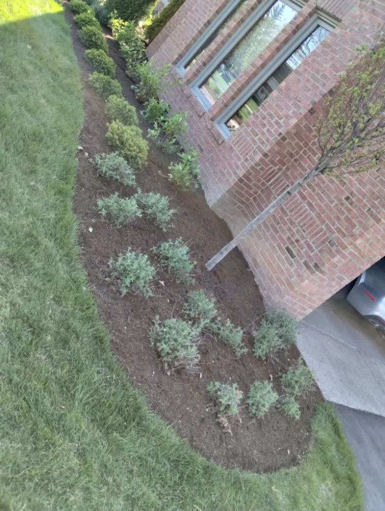 Affordable lawn care service experts serving Anderson, IN - Hardscape