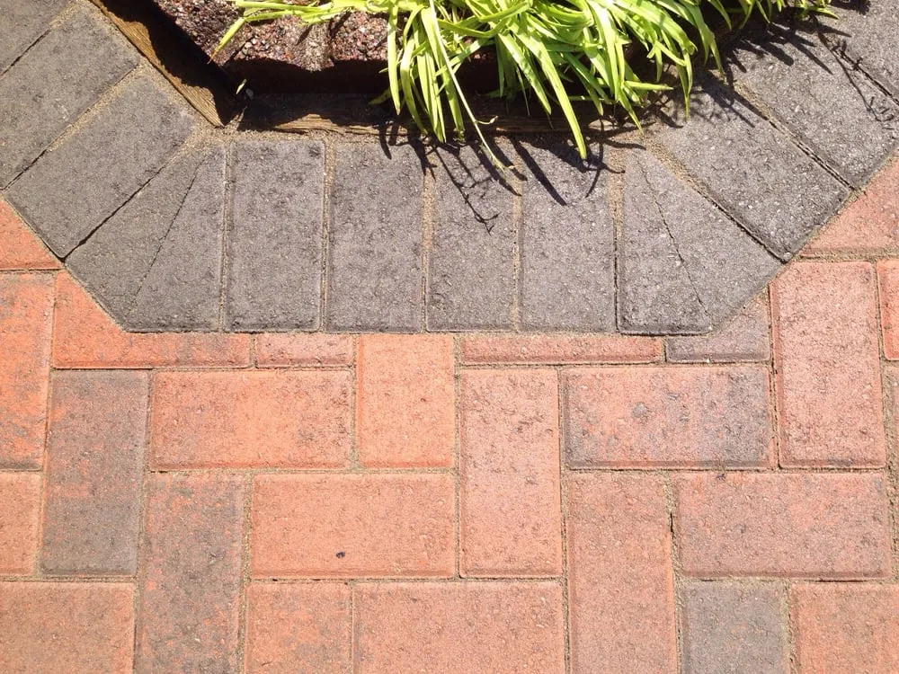 Custom yard cleanup service experts serving Sammamish, WA - Hardscapes By Design