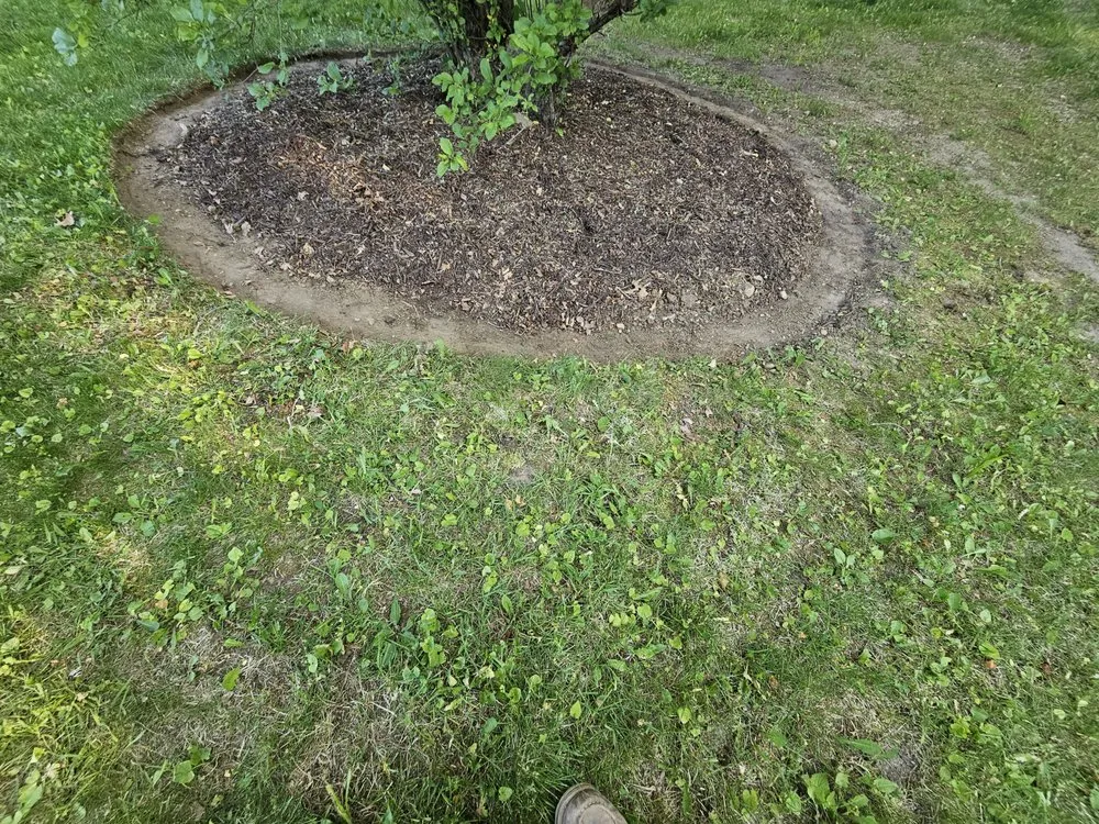 Affordable landscape installation for beautiful yards in Jackson, MI by Hardscapes