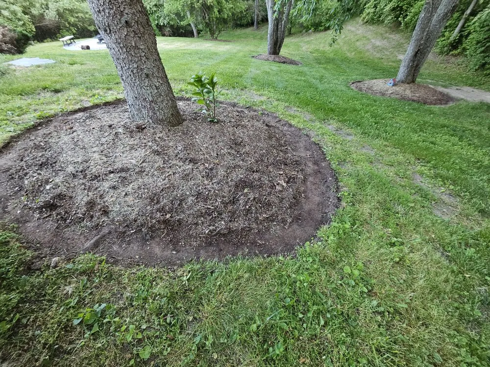 Reliable yard maintenance in Jackson, MI by Hardscapes