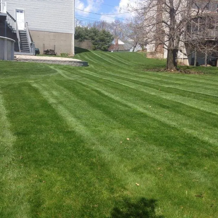 Local yard maintenance for homes in Wallingford, CT by Hardscapes Landscaping