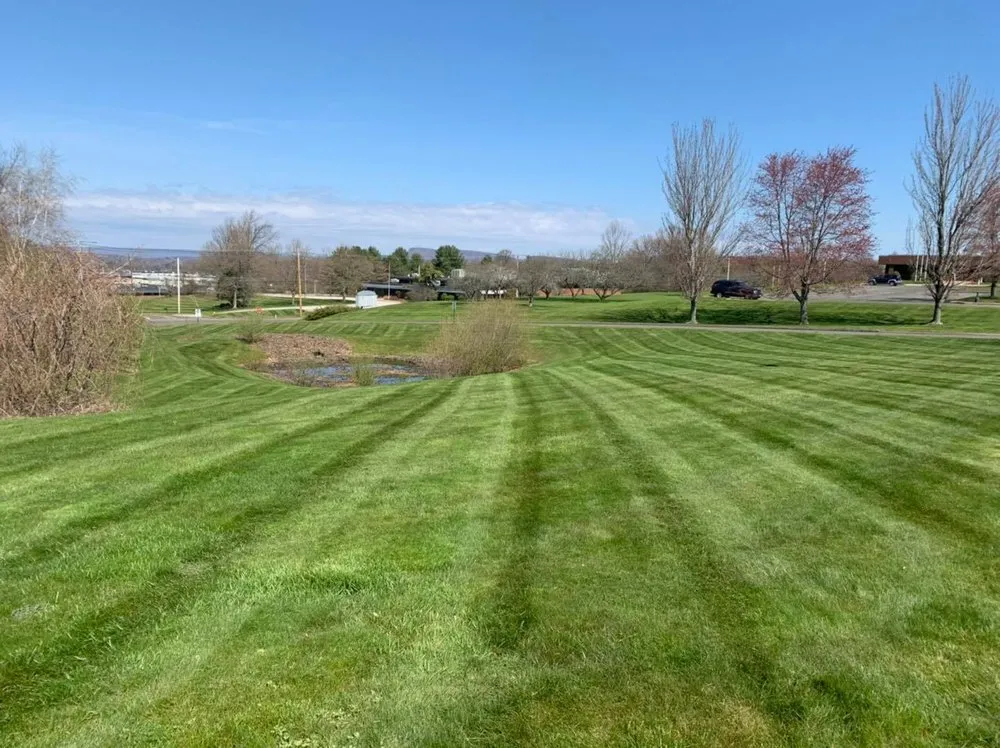 Reliable yard maintenance in Wallingford, CT - Hardscapes Landscaping