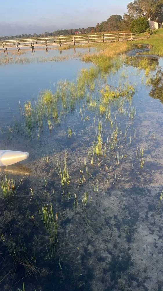 Trusted yard cleanup service near you in Lake Placid, FL by Hardworking Man Services