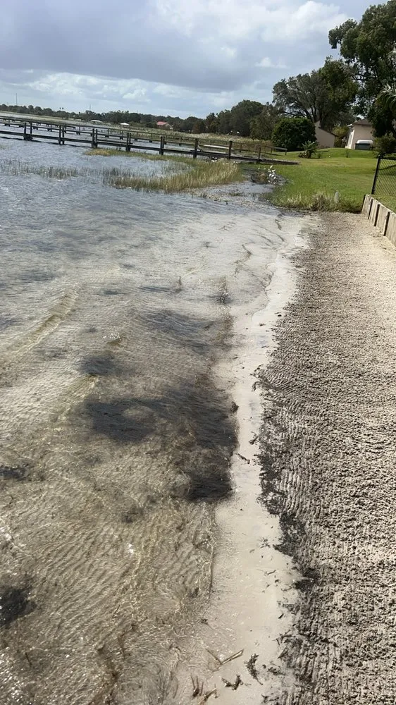 Trusted garden landscaping in Lake Placid, FL - Hardworking Man Services