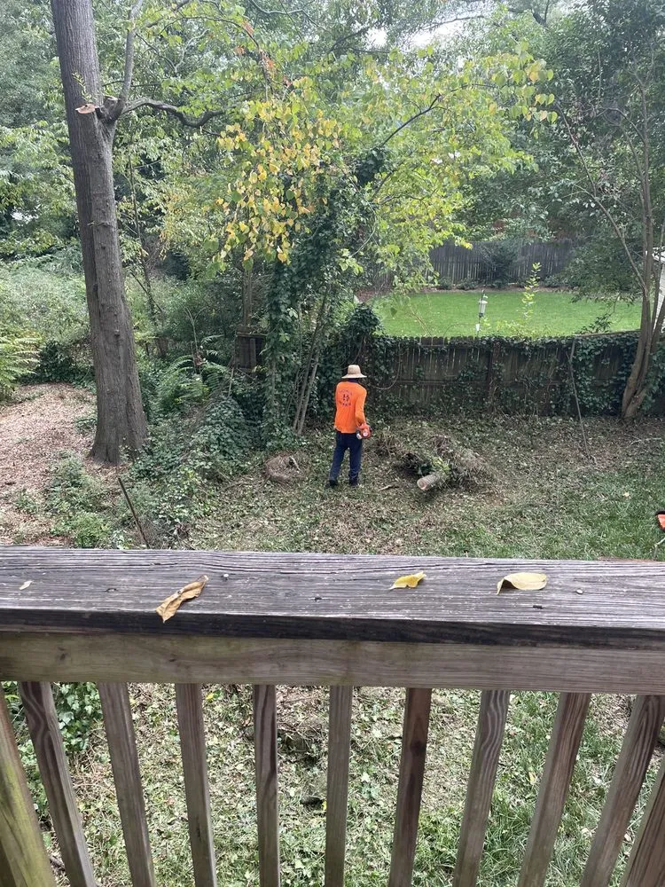 Affordable yard cleanup service in Spartanburg, SC - Hardy Hauling and Installing