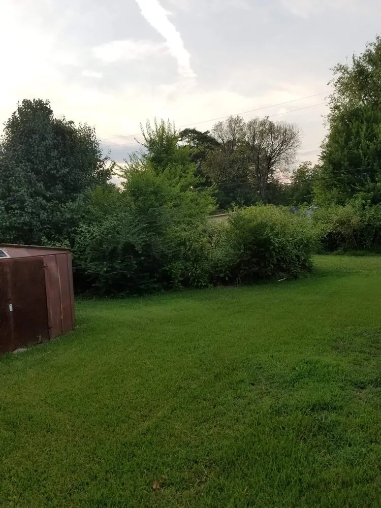 Expert lawn mowing service experts serving Spartanburg, SC - Hardy Hauling and Installing