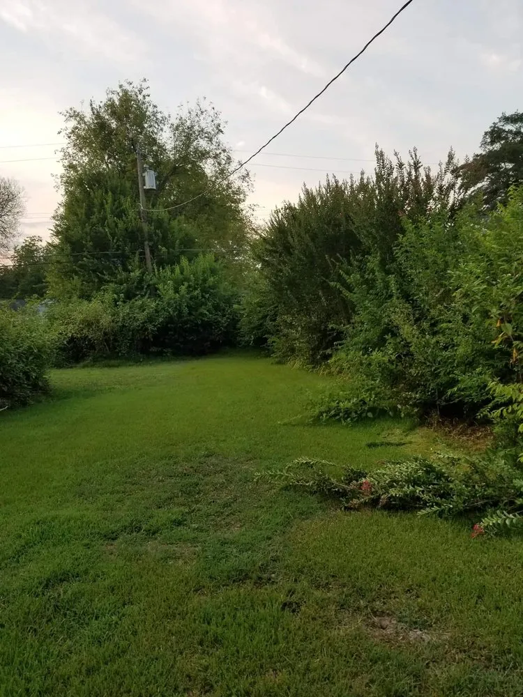 Custom landscape installation in Spartanburg, SC - Hardy Hauling and Installing