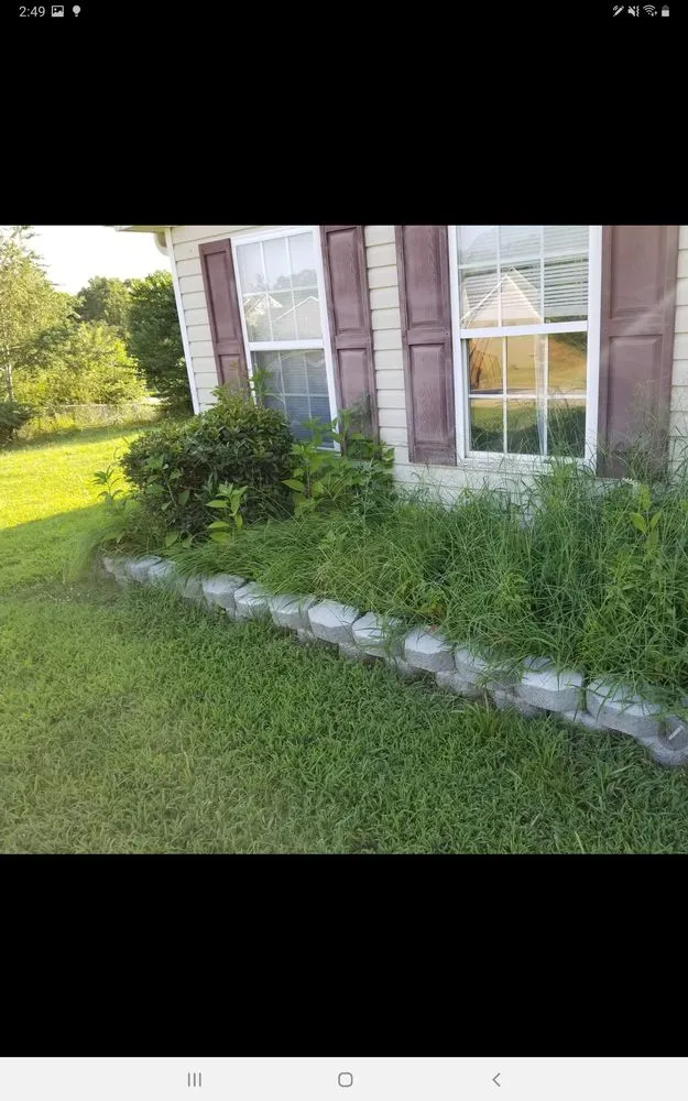 Top-rated yard cleanup service in Spartanburg, SC - Hardy Hauling and Installing