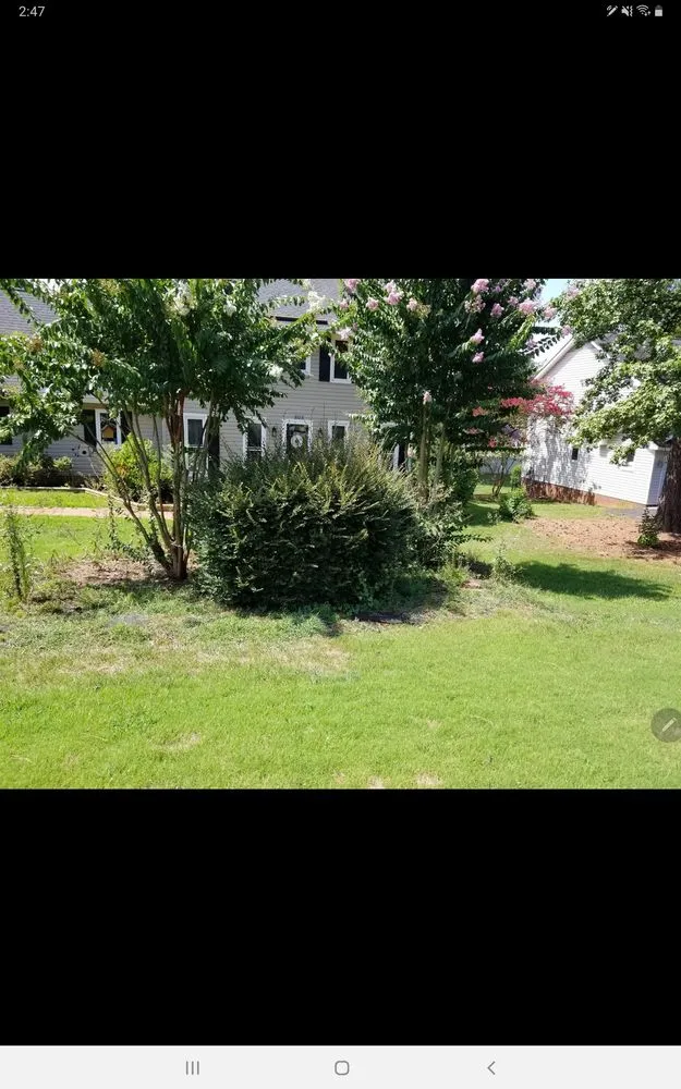 Trusted landscape installation experts serving Spartanburg, SC - Hardy Hauling and Installing