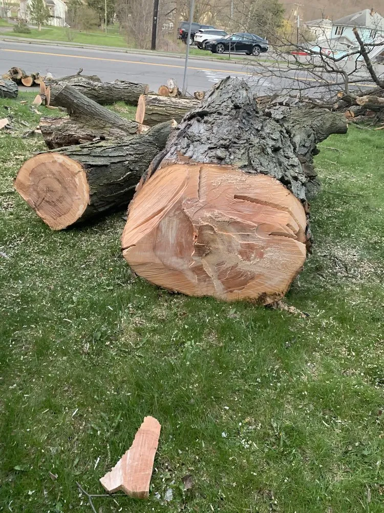 Affordable garden landscaping for residential properties in Beverly Hills, FL by Hardy Home Services