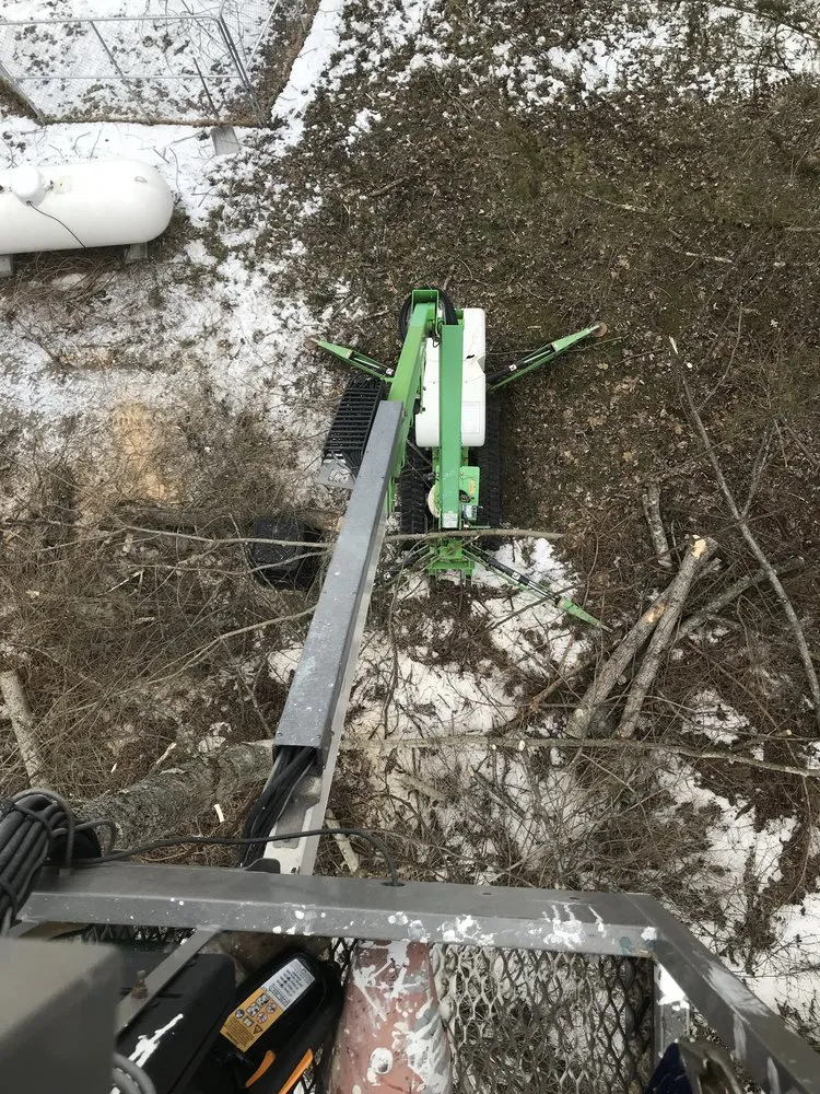 Custom lawn care service experts serving Beverly Hills, FL - Hardy Home Services