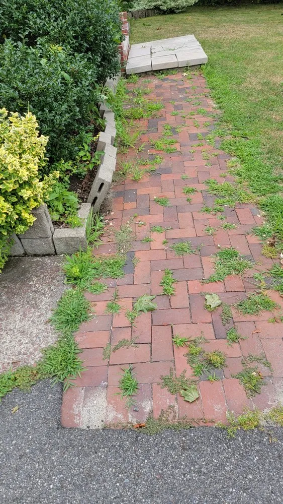 Affordable outdoor landscaping in Malden, MA by Hardy Landscapes and Masonry