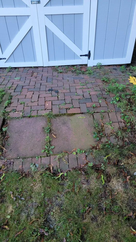 Professional lawn care service in Malden, MA by Hardy Landscapes and Masonry