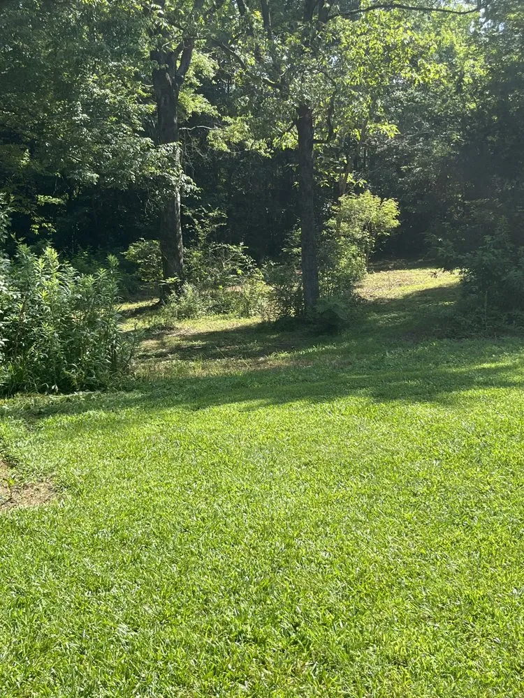 Local residential landscaping experts serving Waco, GA - Hardy Lane Landscaping & Handymen