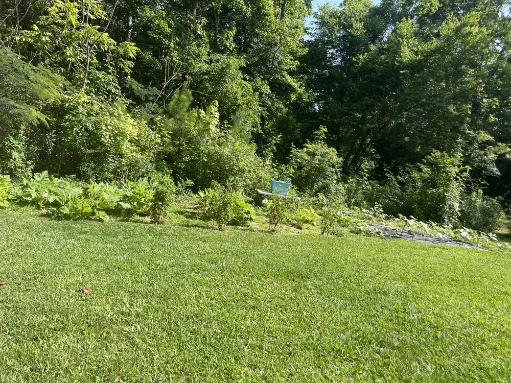 Top-rated landscape design with custom design across Waco, GA - Hardy Lane Landscaping & Handymen