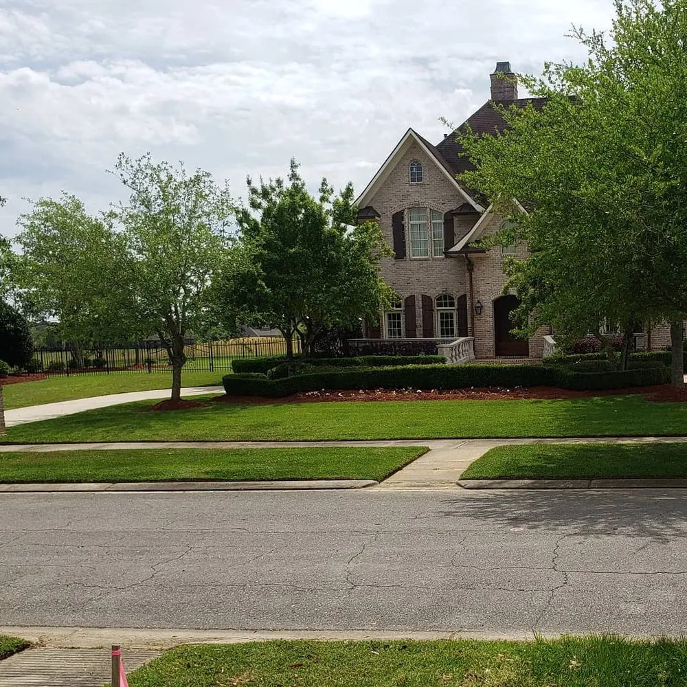 Top-rated yard cleanup service experts serving Zachary, LA - Hardy Lawn Care Service