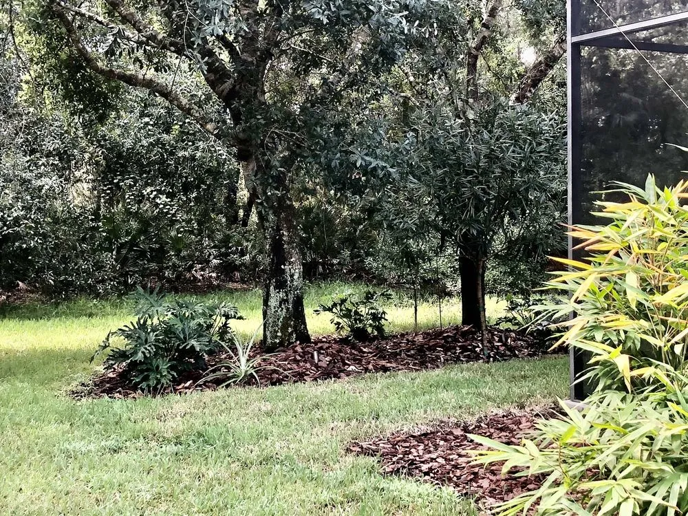 Local lawn care service for year-round maintenance in Bradenton, FL by Hardy Outdoor