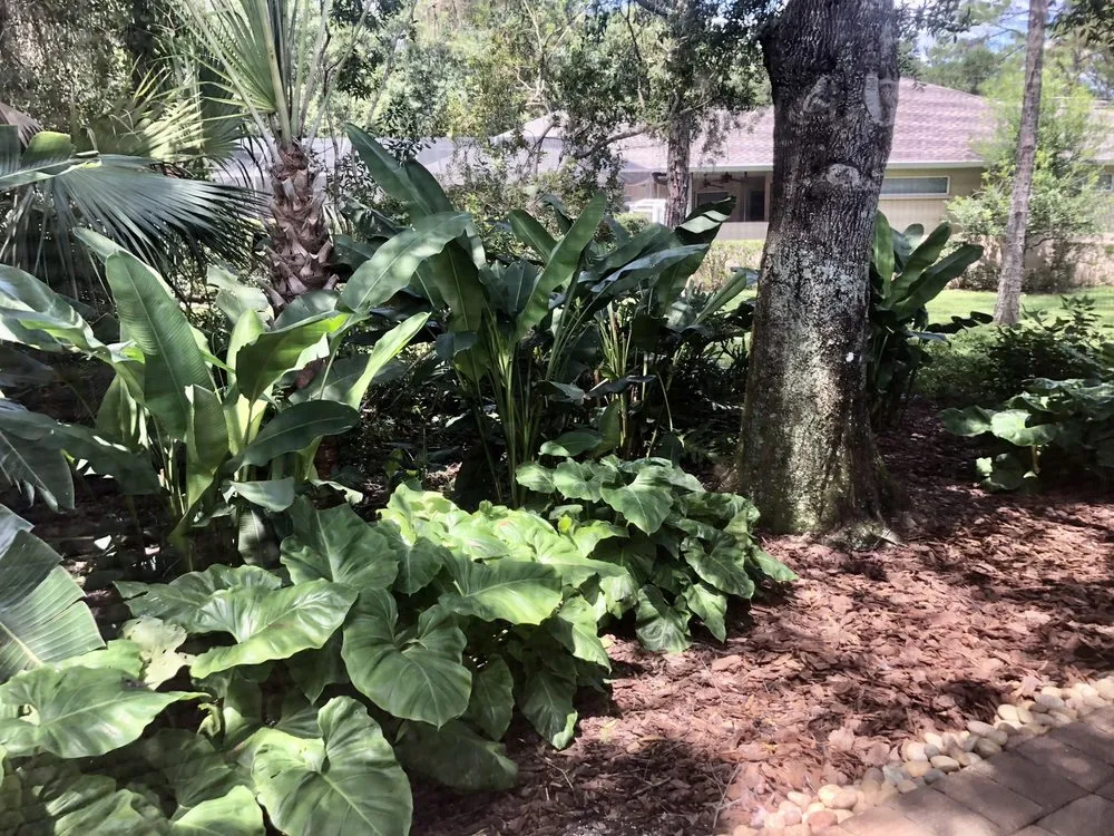 Professional lawn care service in Bradenton, FL - Hardy Outdoor